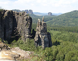 Brosinnadel - Falkenstein